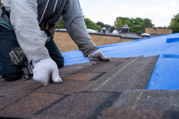 Best Residential Roofing Contractor  in Embreeville, TN