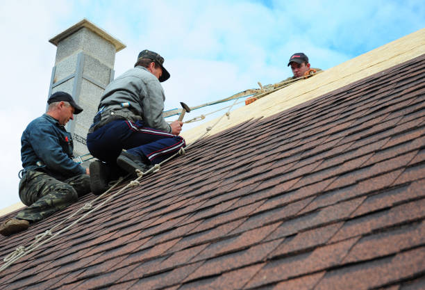 Best Tile Roofing Contractor  in Embreeville, TN